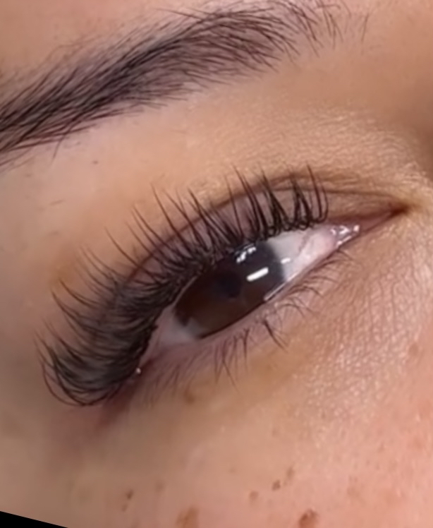 Wet Lash Set/ Hybrid