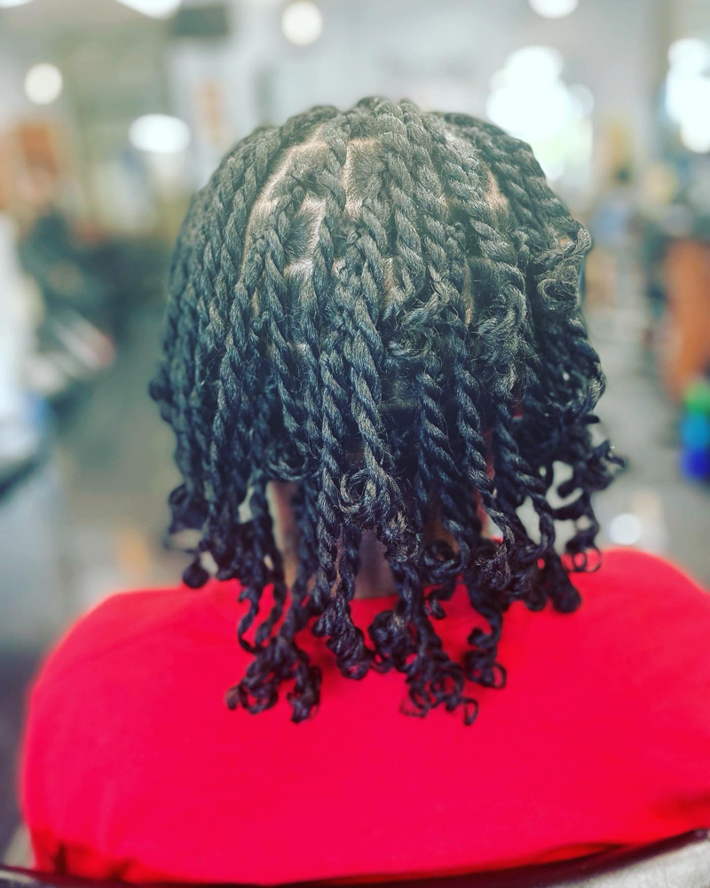 Two Strand Twist/individual Braids