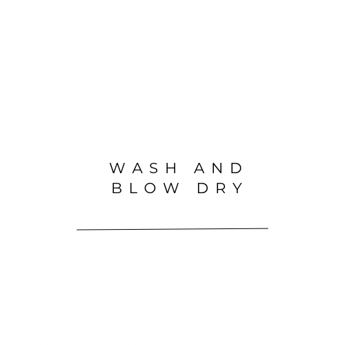 Wash And Blow Dry