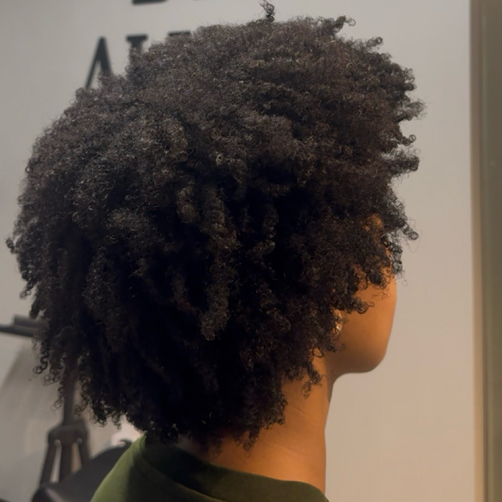Curly Wash and Go at Hair by Alisha Smartt in Independence, MO