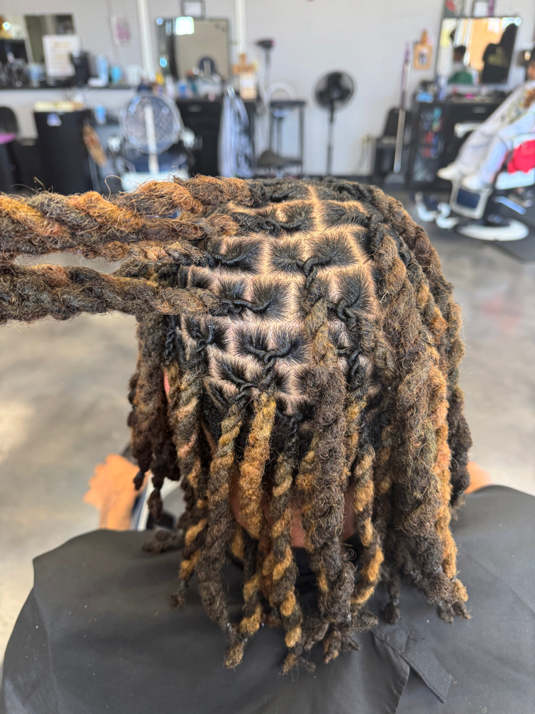 Loc Retwist