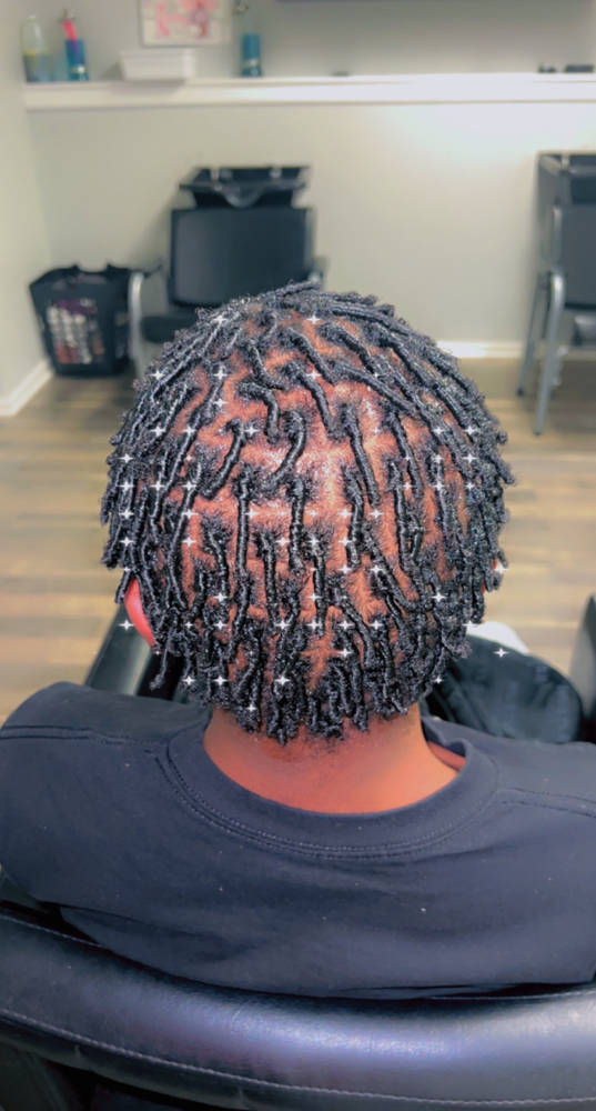 Starter Locs - Small