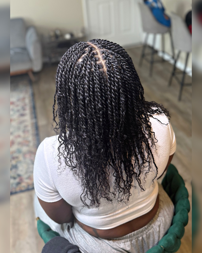 Mini Natural Twists