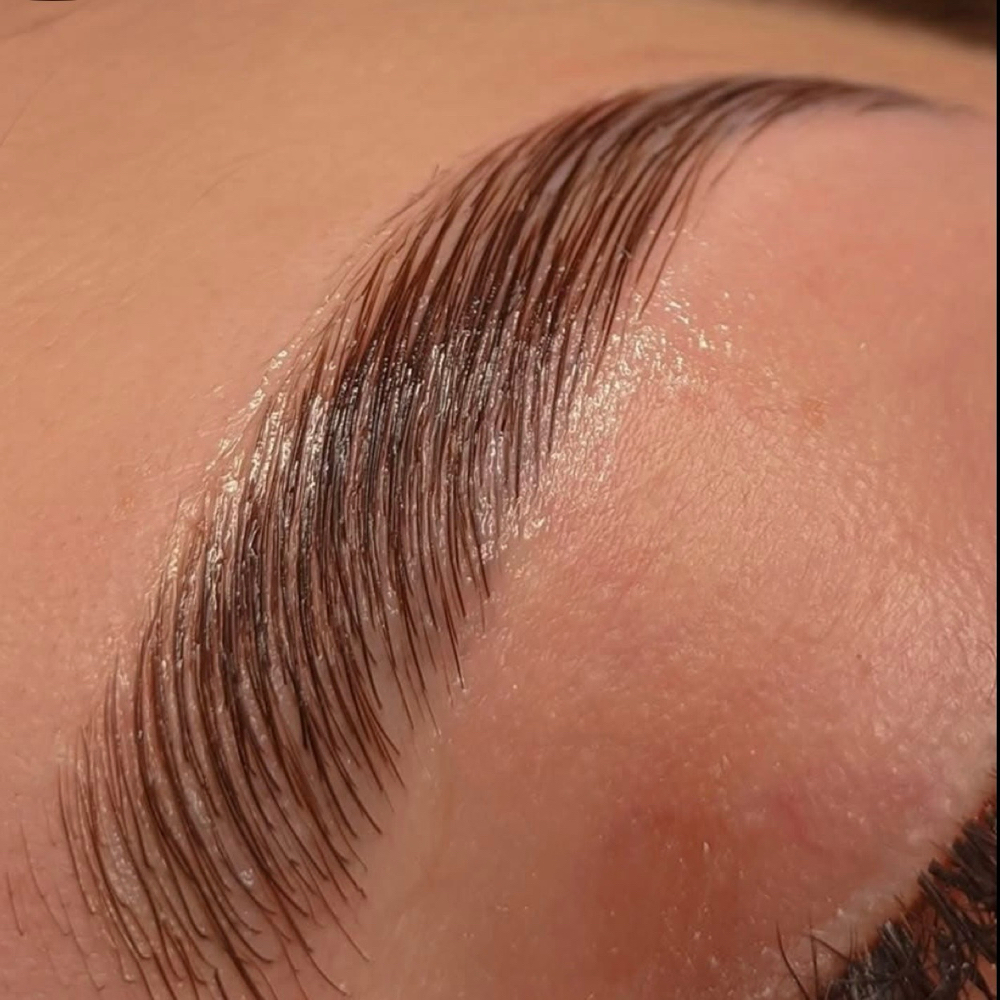 Brow Lamination & Tint at The Beauty Studio - By Alexis Negley in Altoona, PA