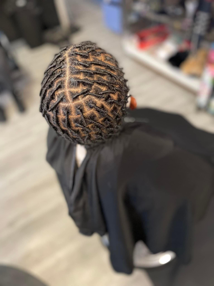 Starter Locs