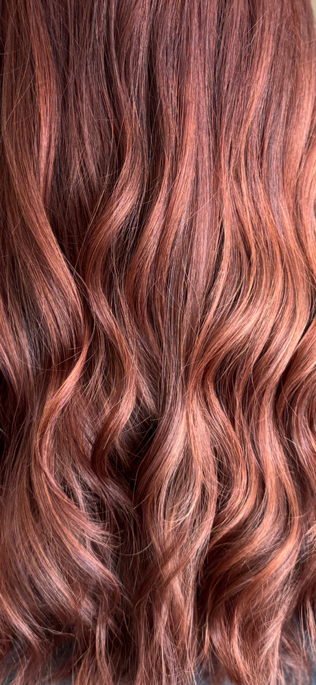 Shampoo, Cut, & Style at Everett and Ivory salon & spa in Kingsport, TN
