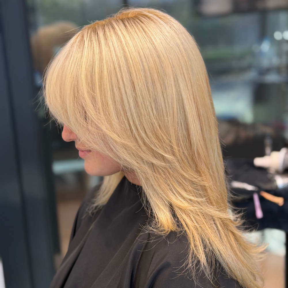 Toner & Blowdry at Hair by Hailey Monroe in Simi Valley, CA