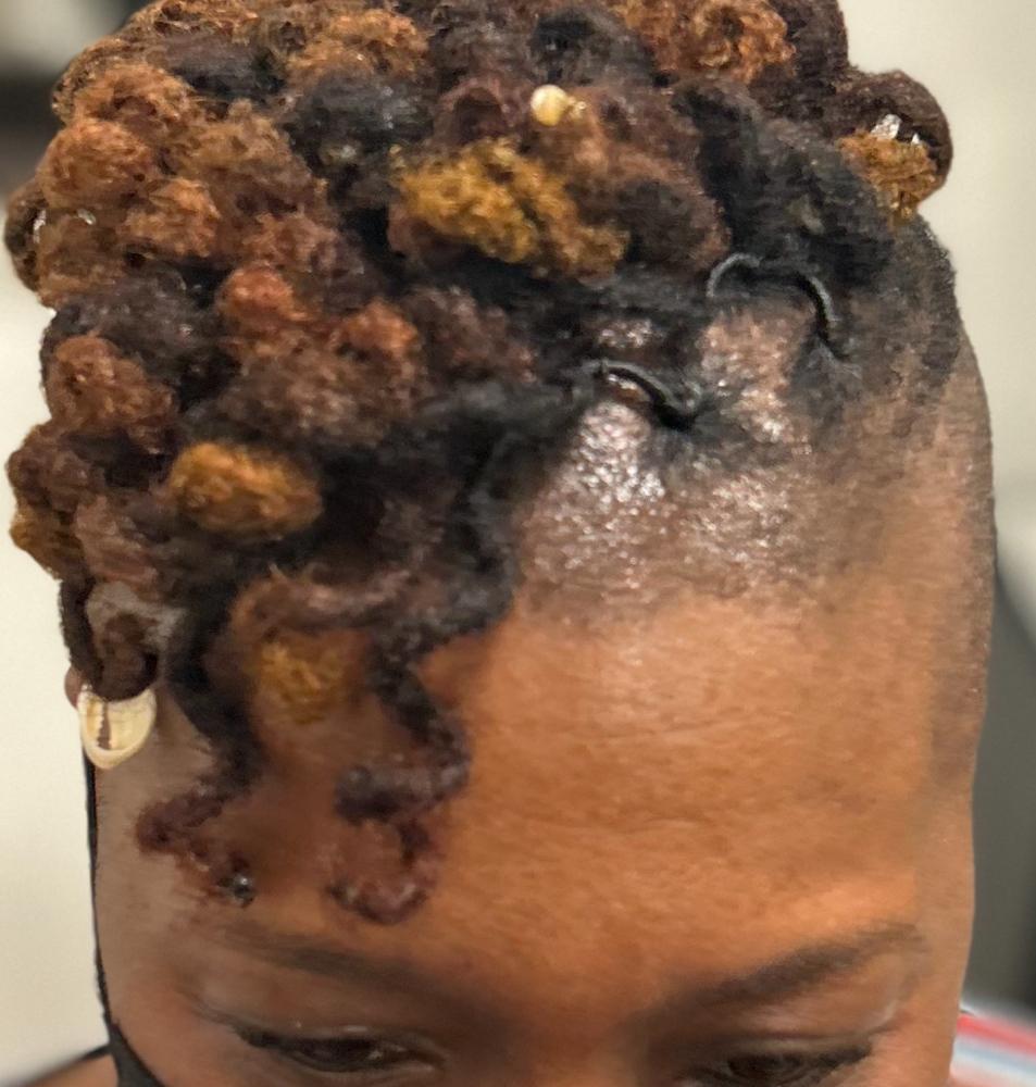 Root Touch up