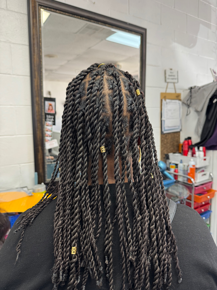 2 Strand Twist Adding Hair
