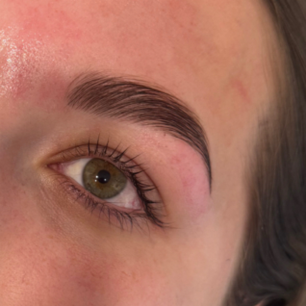 Brow Lamination + Wax at The Soft Edit in Littleton, CO