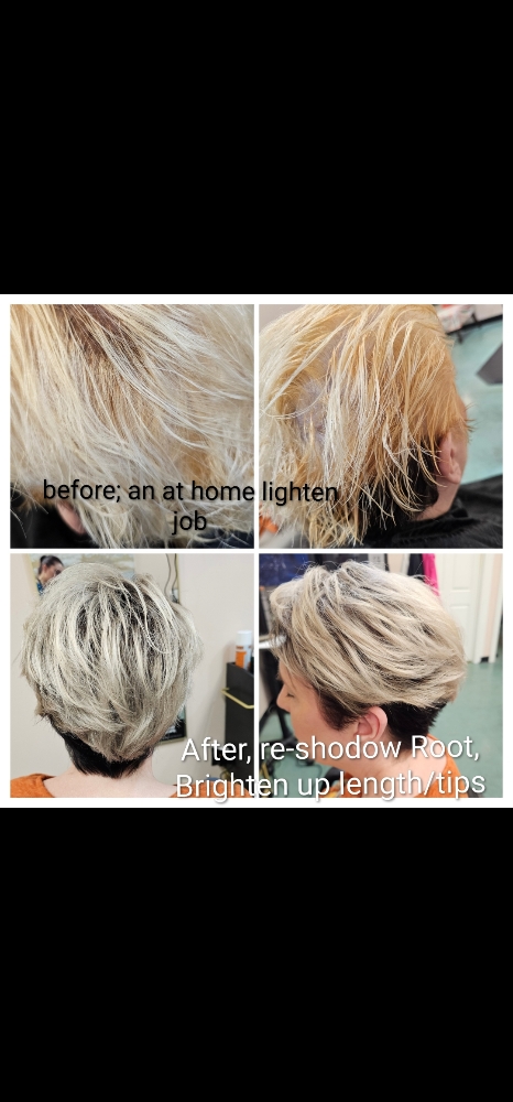 Custom Full Root Touch-Up