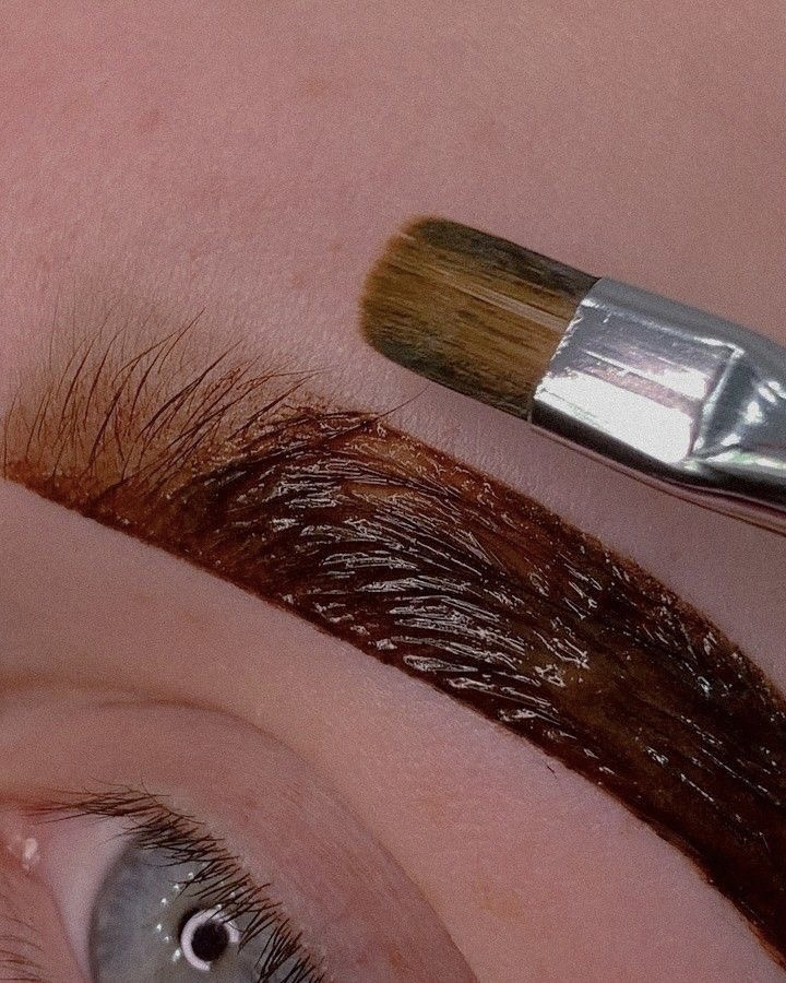 Brow Tint & Wax