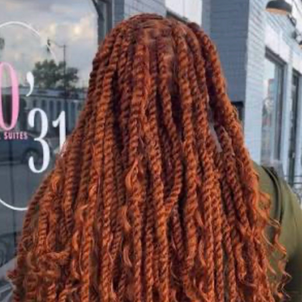Extented Two Strand Twist at The Braid Society in Olive Branch, MS