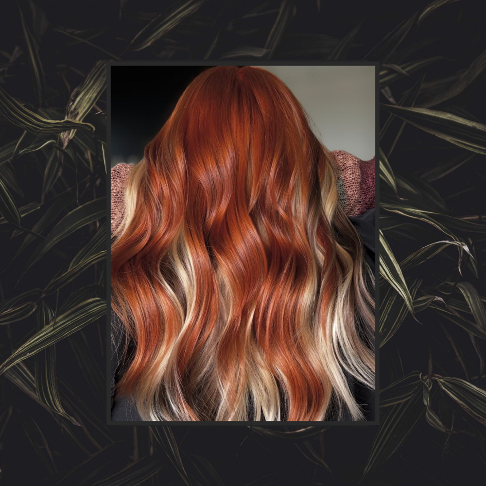 Womens Hair Cut (medium / long) at Alchemy Hair Studio HKY in Hickory, NC