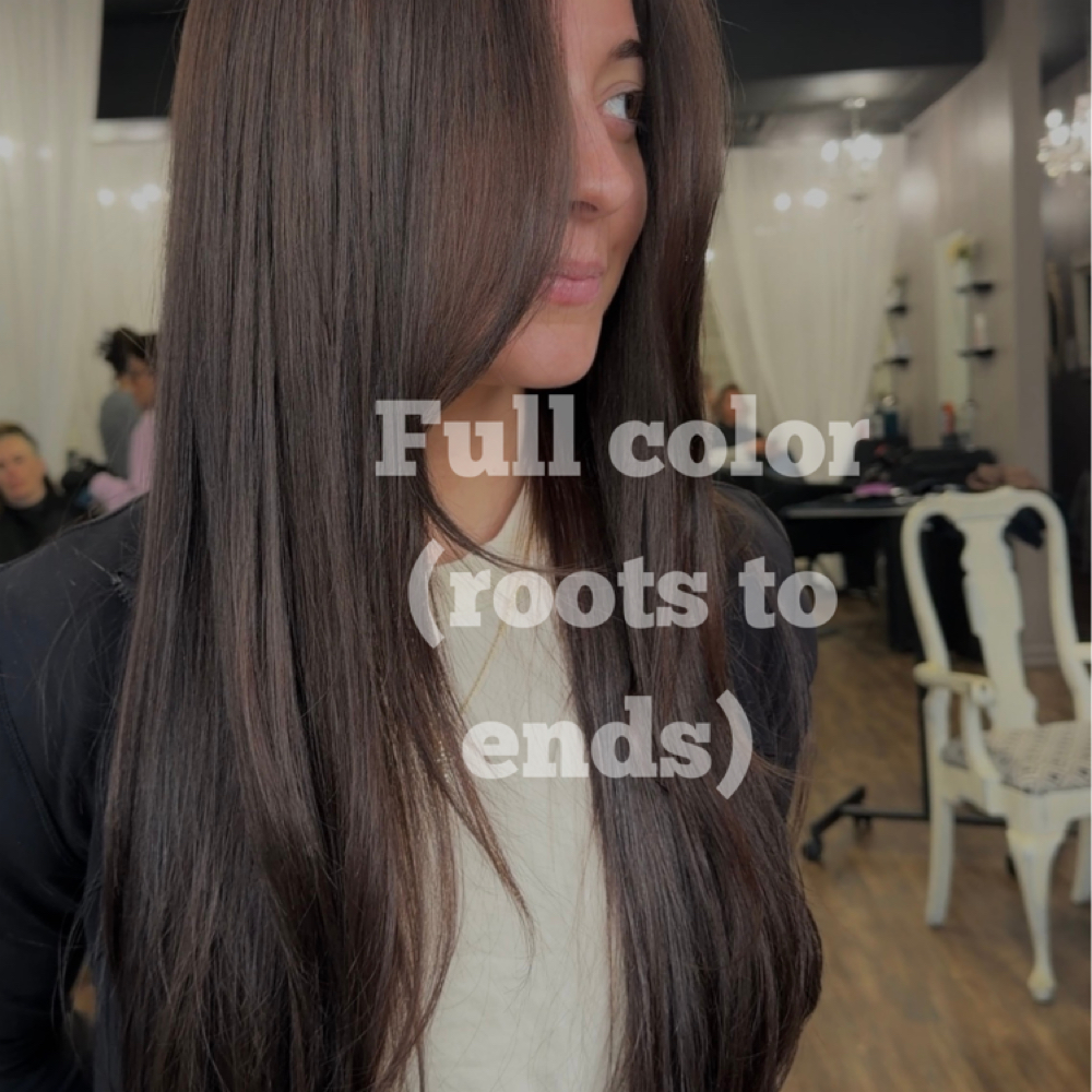 Full Color (roots to ends) at Glossedbyjo in Annapolis, MD