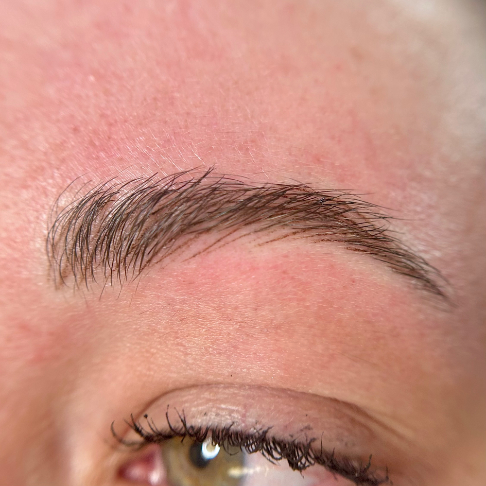 Brow Touch Up // 6-10 Weeks