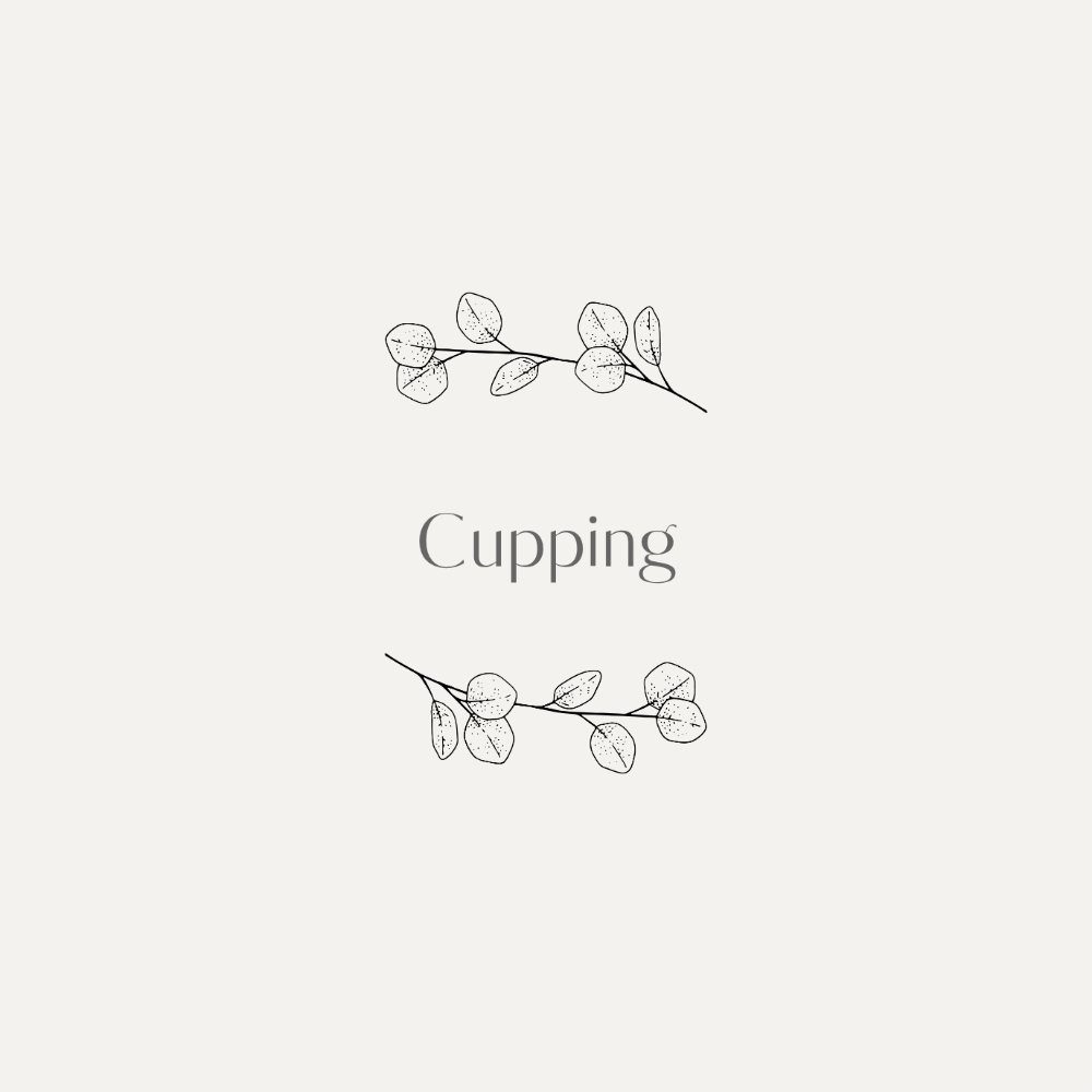 Cupping at Truly Tranquil Massage Therapy in Murrieta, CA