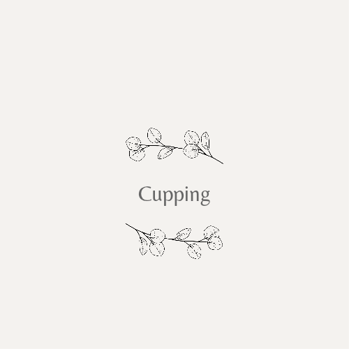 Cupping