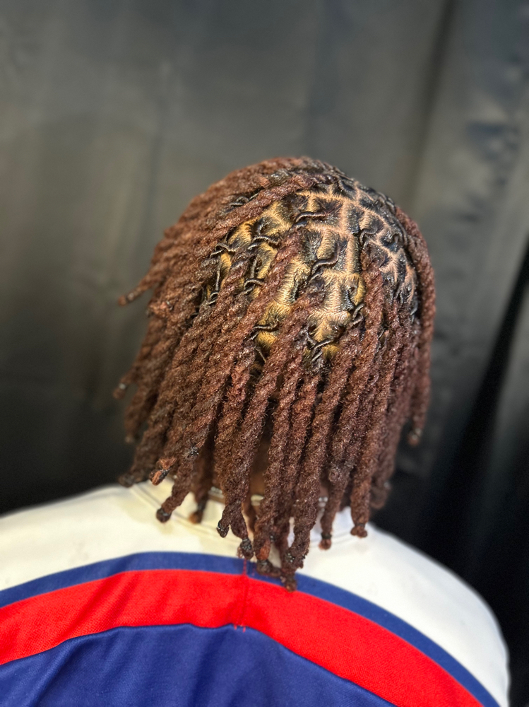 FreeForm Locs to traditional Locs