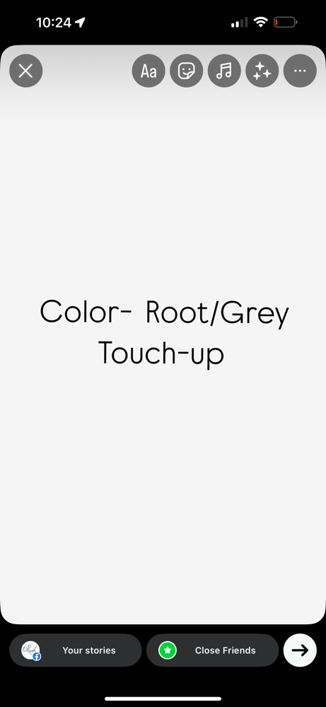 Color - Root / Grey touch-up