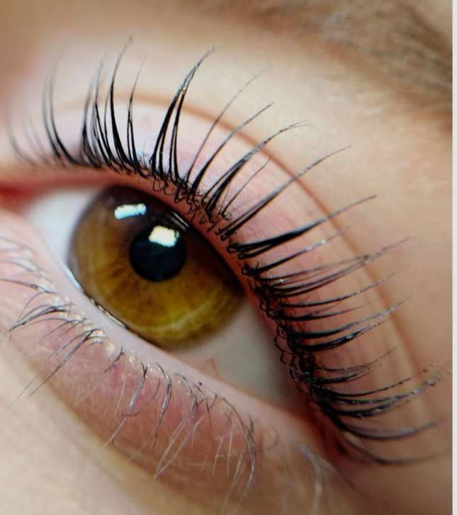 Lash Lift And Tint Combo at KM Lash & Brows in Katy, TX