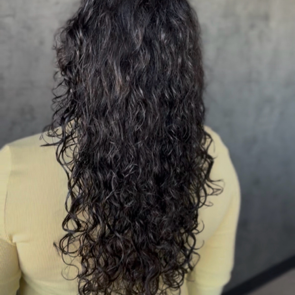 Curly Haircut + Diffused/Blowout at ASHLASHBEAUTYY Studio in Waldorf, MD