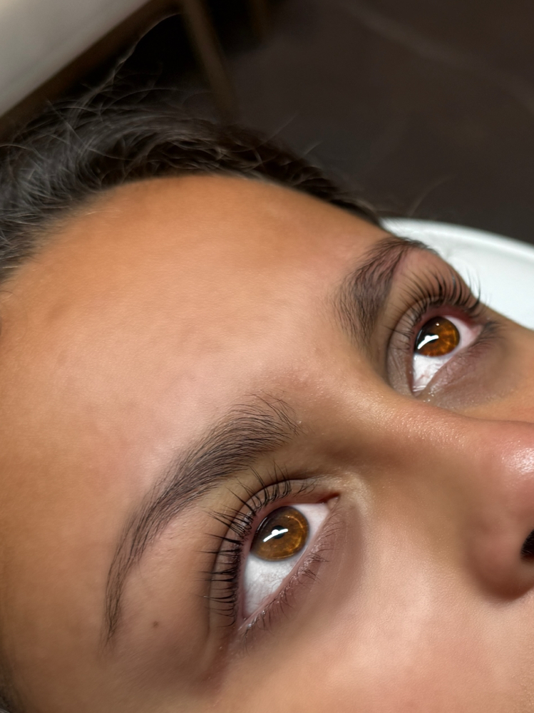 Korean Lash Lift at Lavish Artistry Lounge in Wantagh, NY