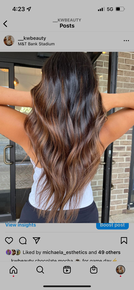 Partial Balayage + Cut