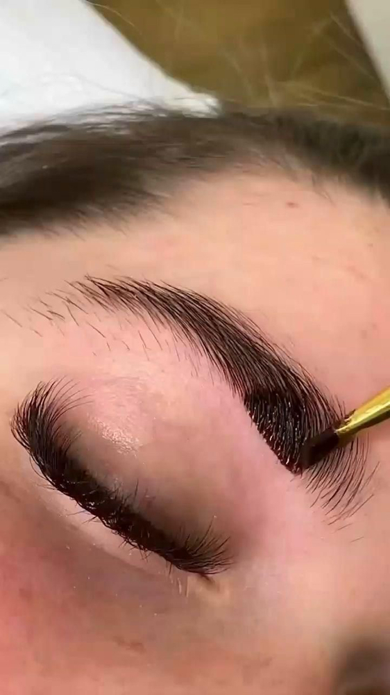 Eyebrow Shaping & Tinting 🤎✨