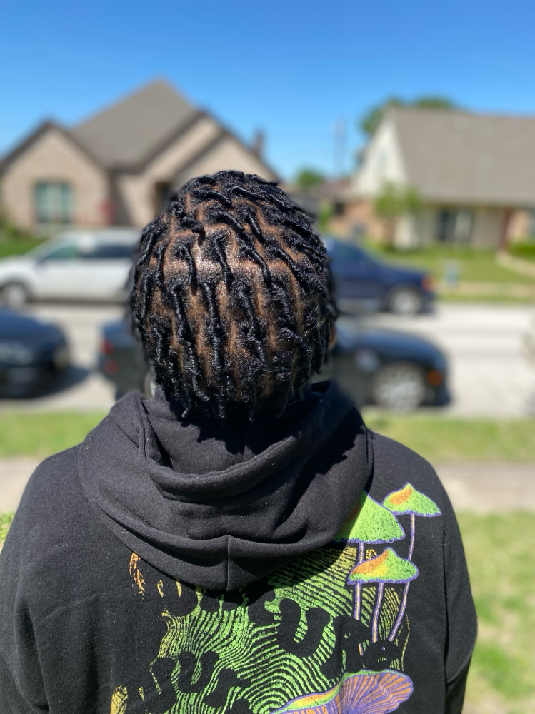 Starter Locs