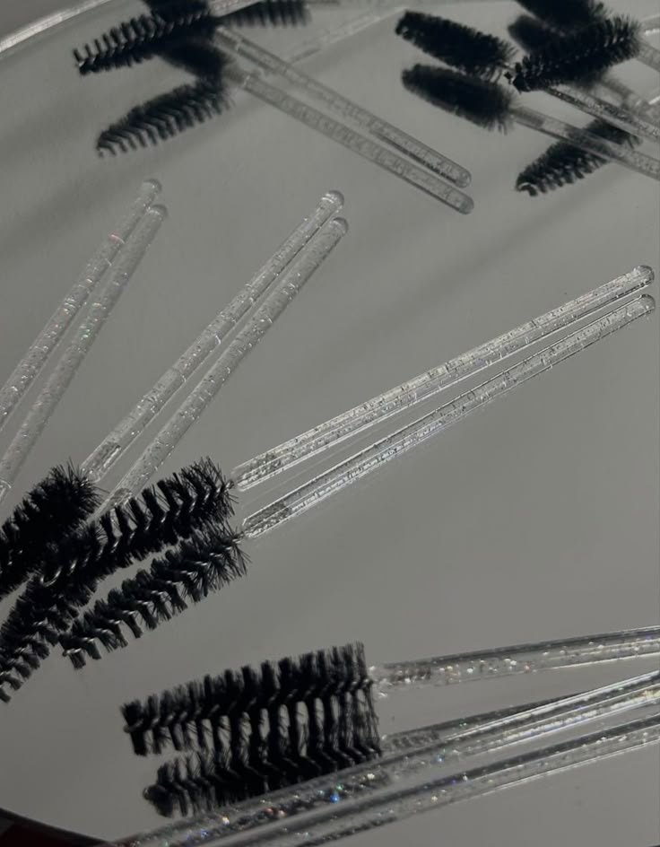 Classic Lashes