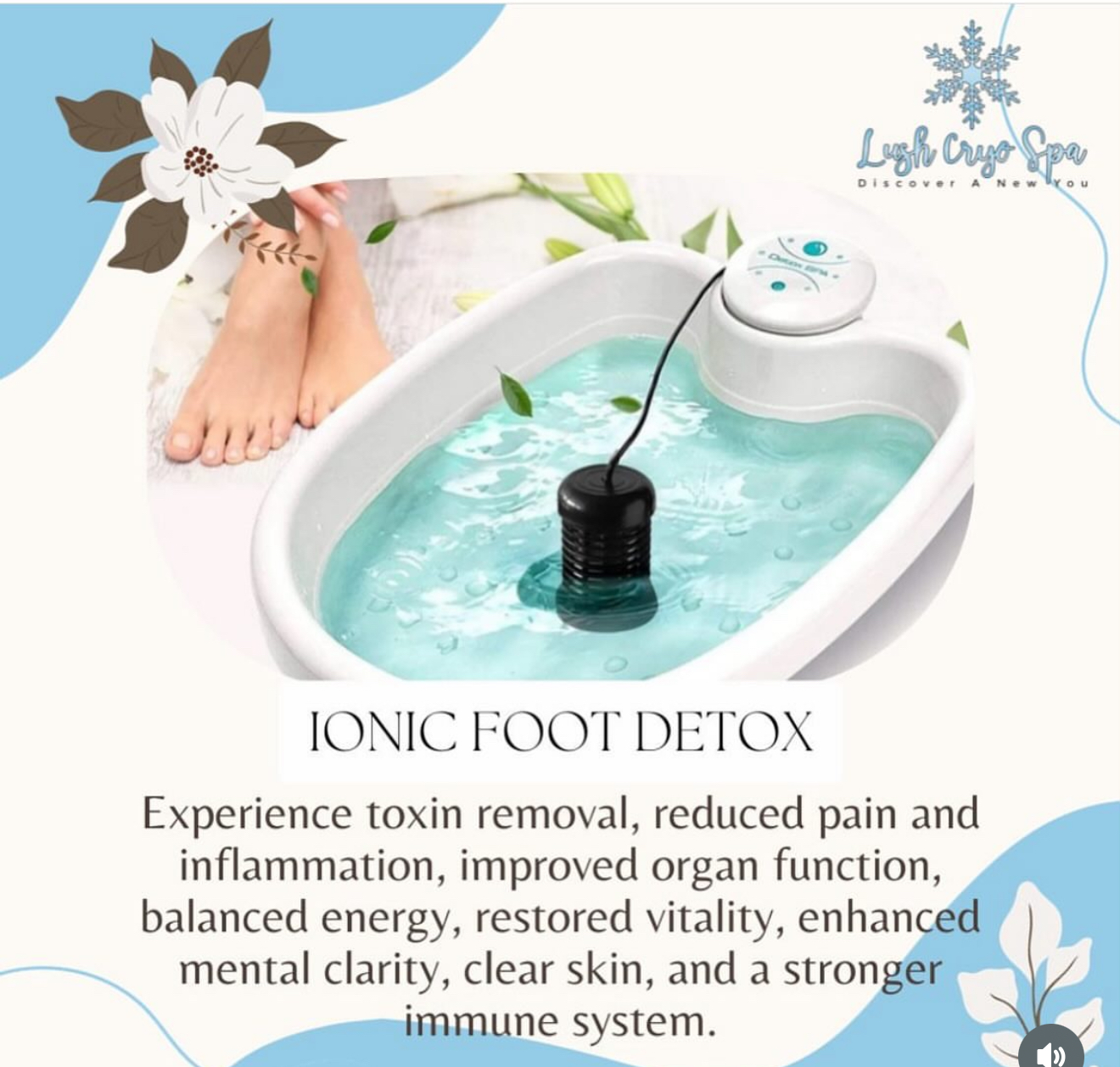 Ionic Foot Detox