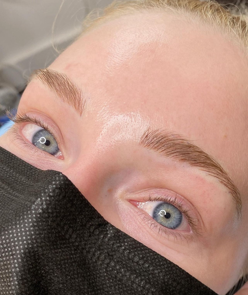 Microblading 6 week - 9 Month Touch