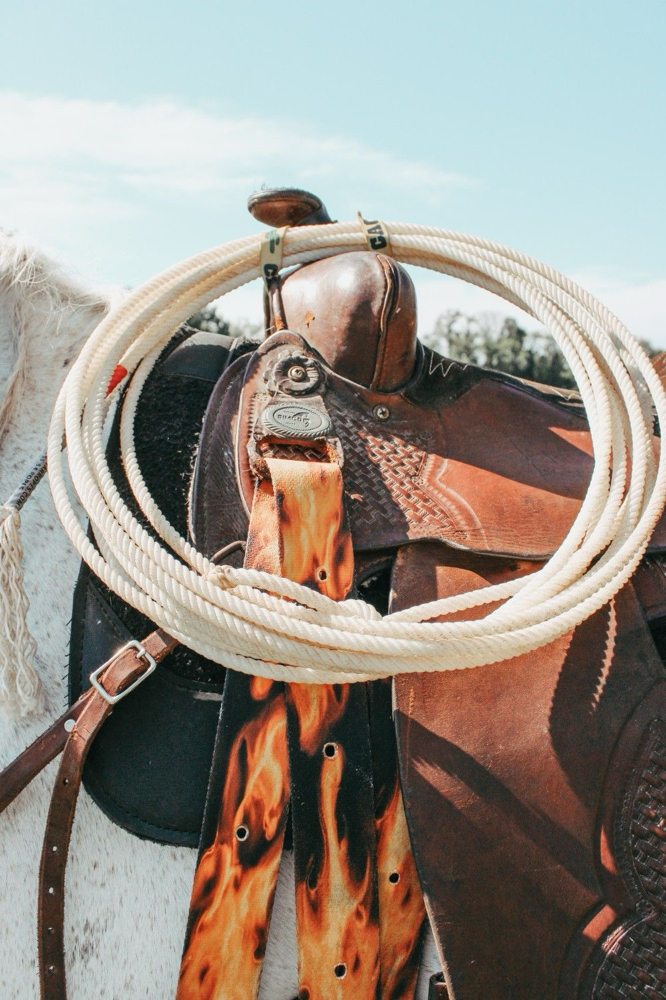 Golden Lasso