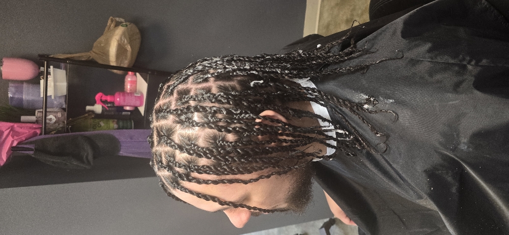 Two Srand Twist at LiveLoveBraid By Alexis'Jade in Colonial Heights, VA