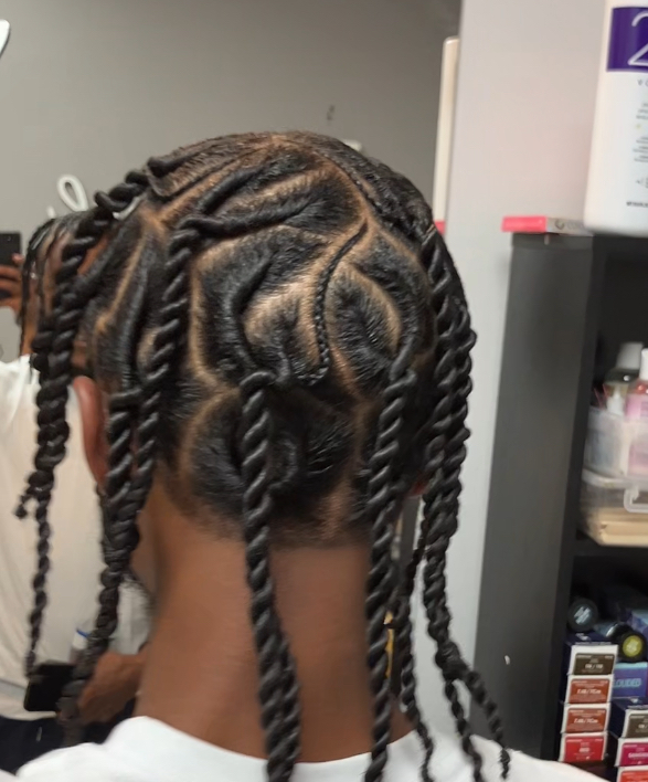 Free Style Braids/flat Twists