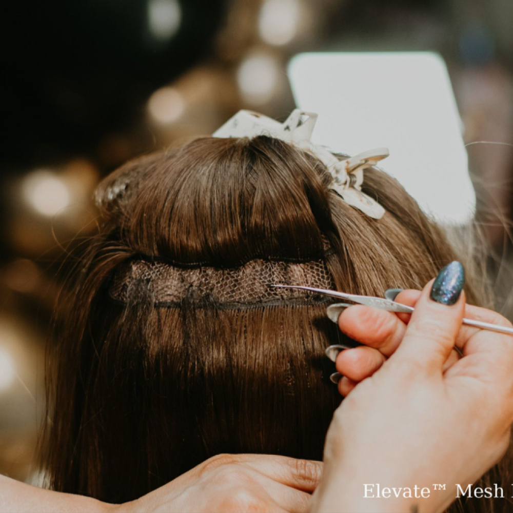 Mesh Integration at Elev8ed Hair LLC. in Saint Augustine, FL