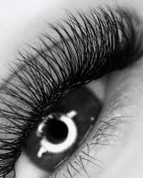 3 Week Fill at The Lash Suite in Dublin, OH