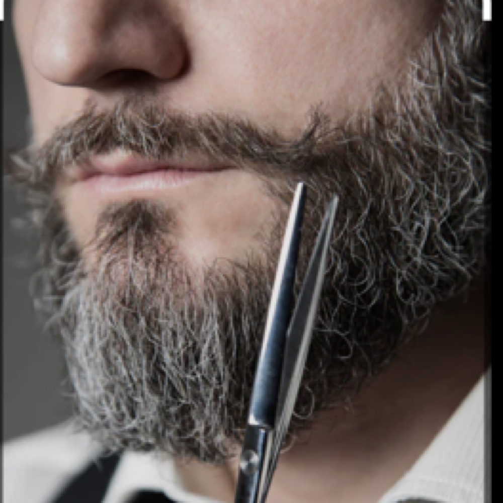 Grizzly Groom at Sacred Strands in Lakeland, FL