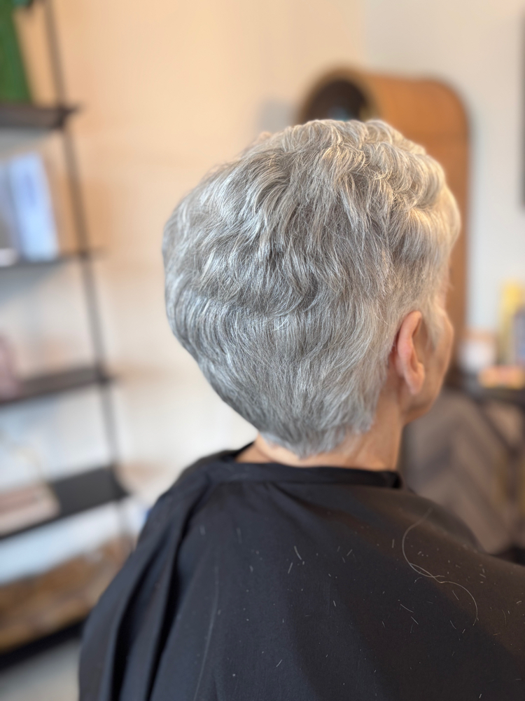 Womens Dry Cut at The Hair Studio in Paintsville, KY