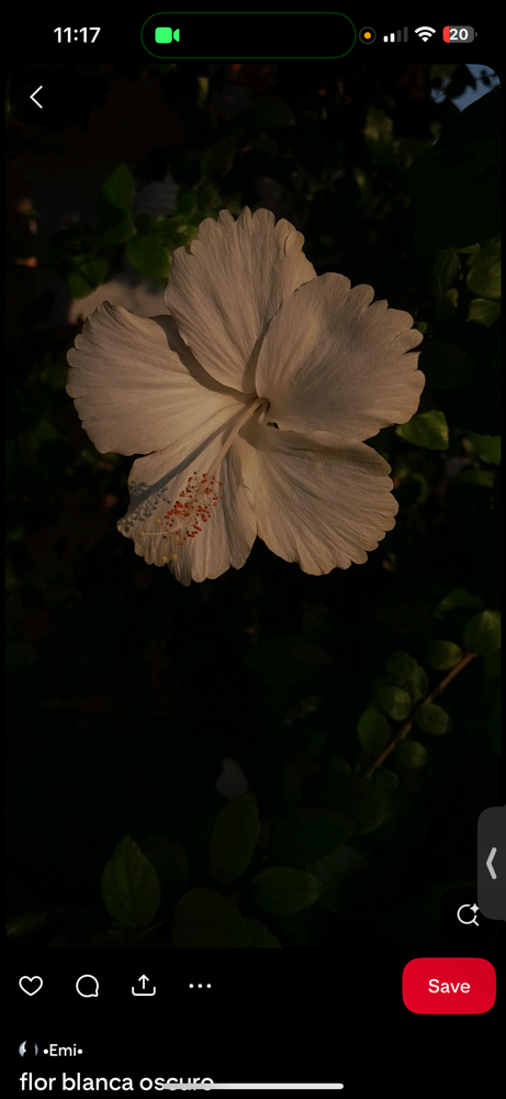 Wet Full Set at Lashedbyliyahh in Kent, WA