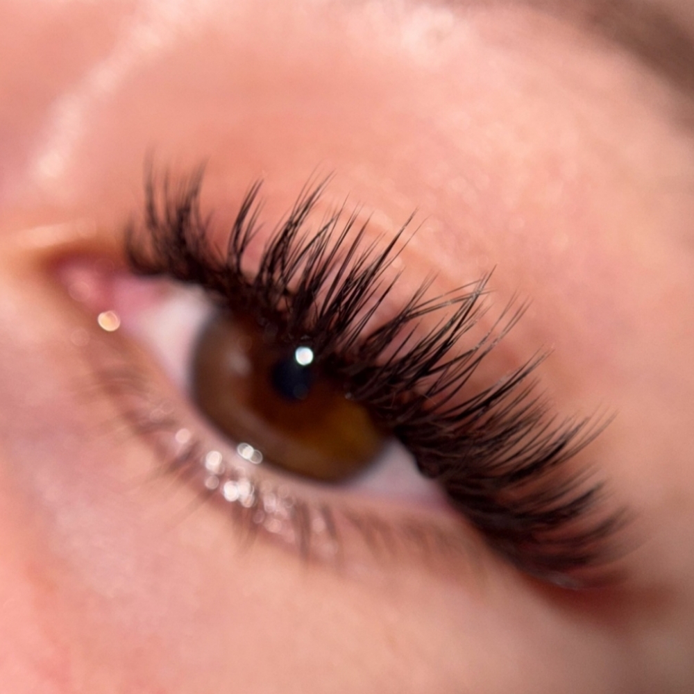 Hybrid/Wet Set Lashes at Glamour Lash Lounge in Santa Rosa, CA