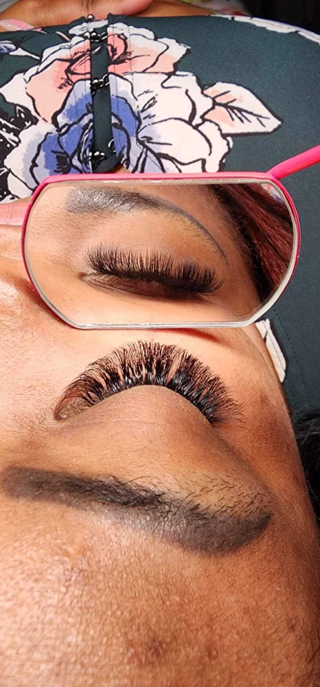 Volume Lashes