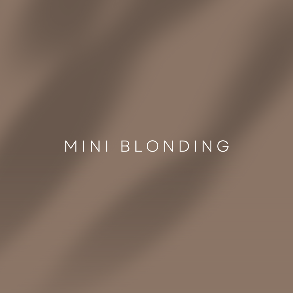 Mini Blonding