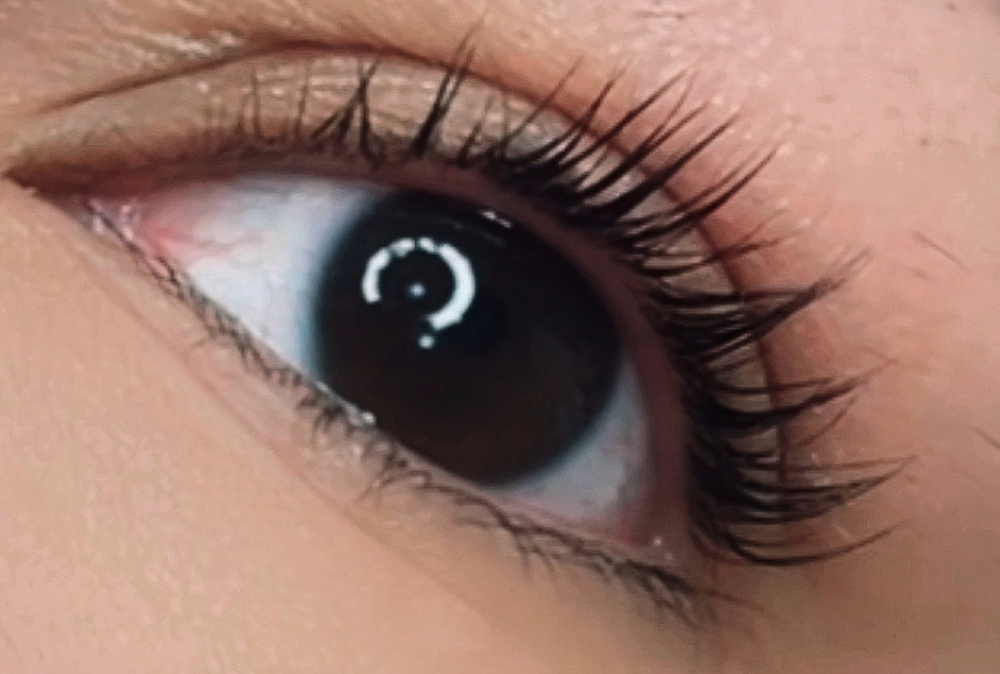 Lash Lift & Tint
