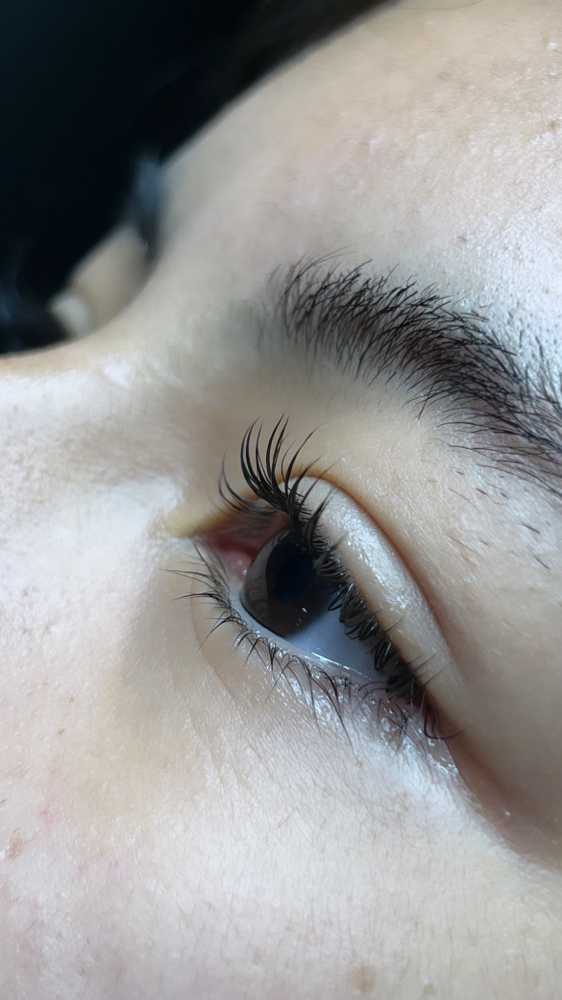 Lash Lifting