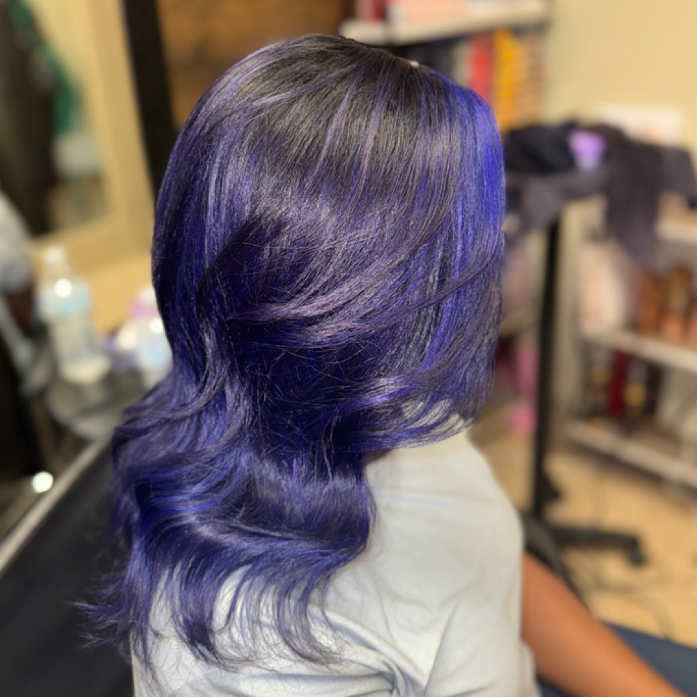 High Fashion Hair Color at The Natural Hair Fairy 🧚🏾‍♀️ in Tyler Tx, TX