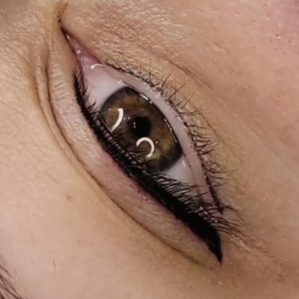 Classic Eyeliner - No Wing at KC Permanent Makeup Academy & Studio in Apollo Beach, FL