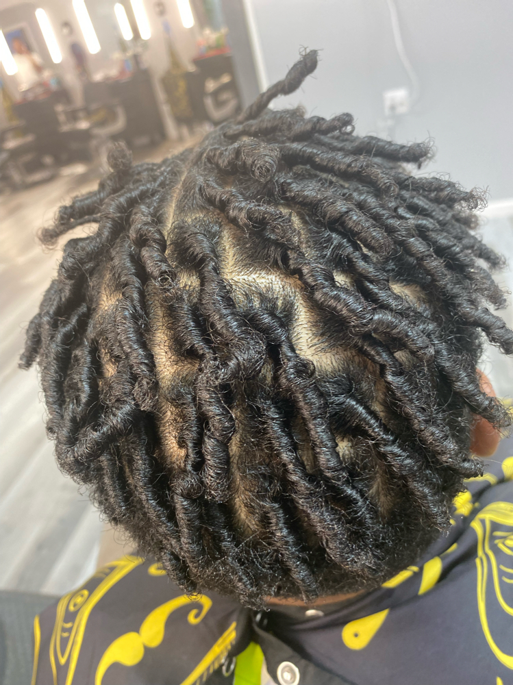 Starter Locs