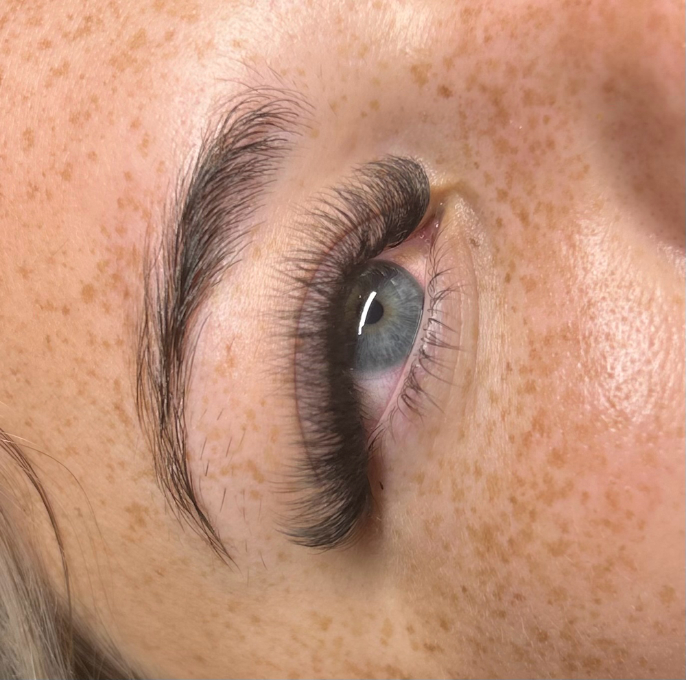 Volume Lash